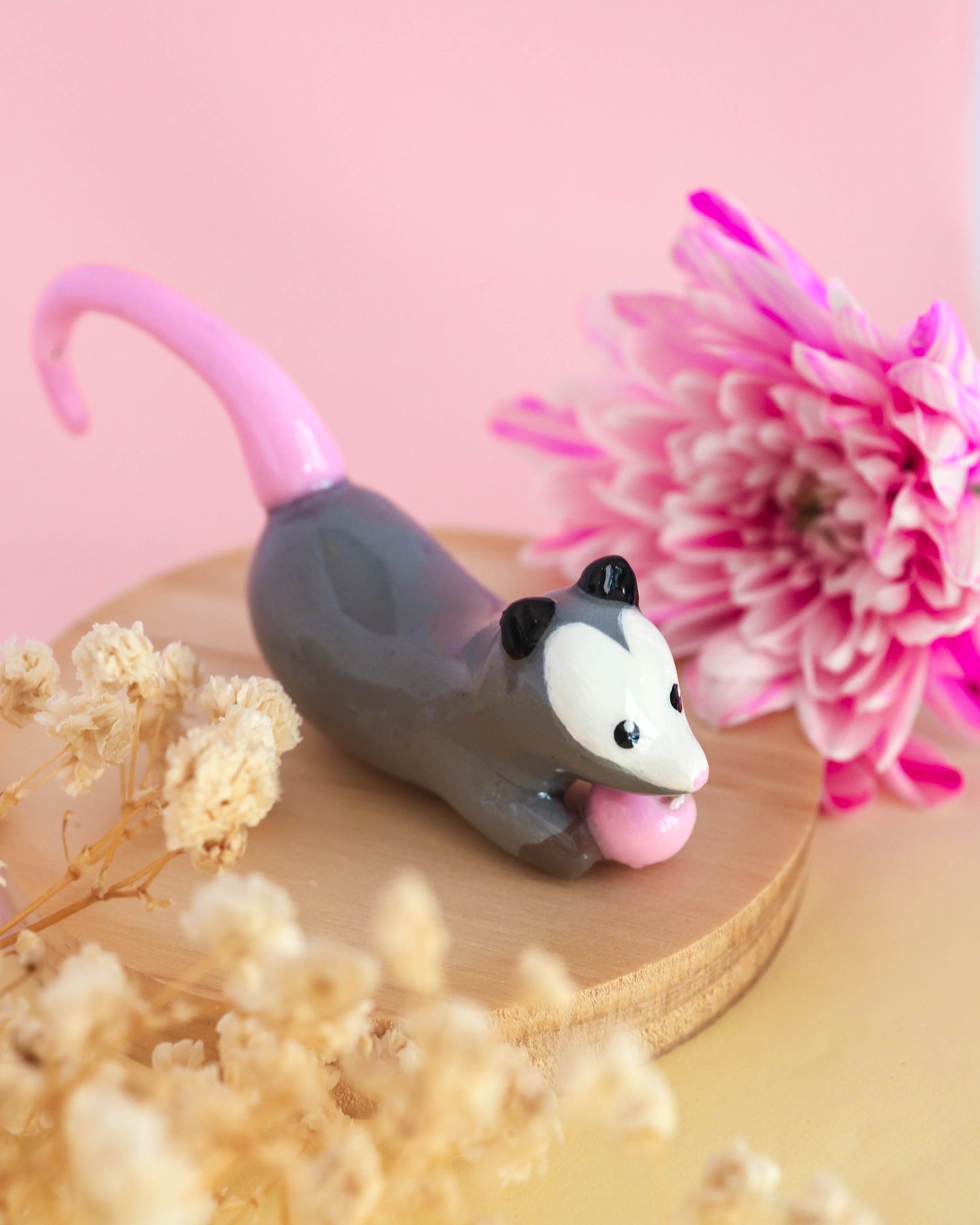 Opossum Plant Friend