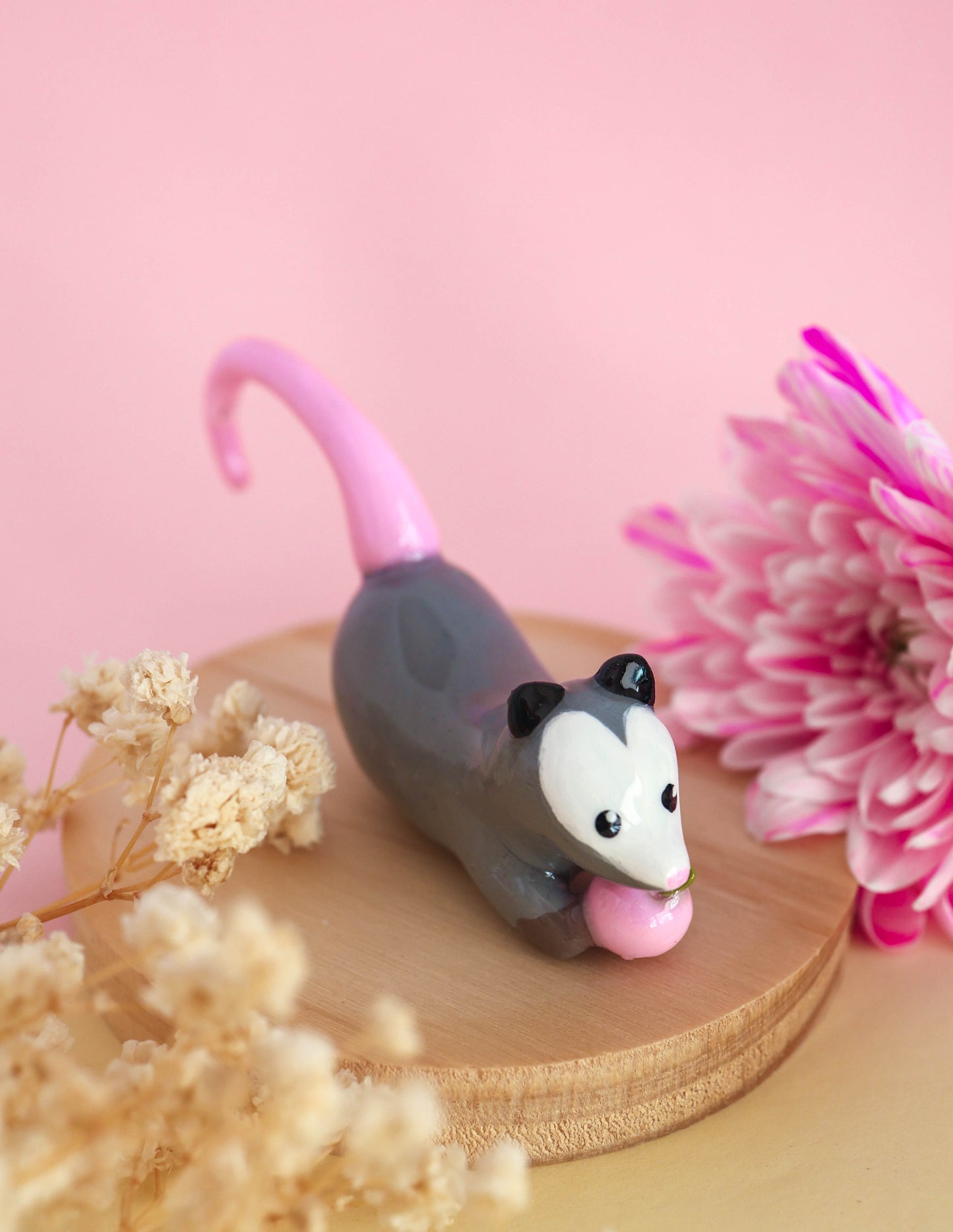 Opossum Plant Friend