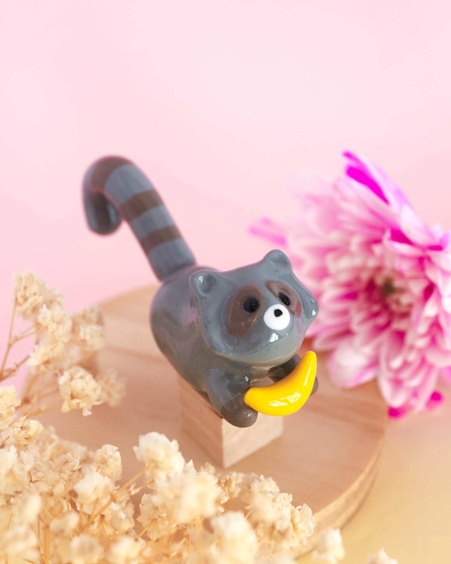 Raccoon Plant Friend