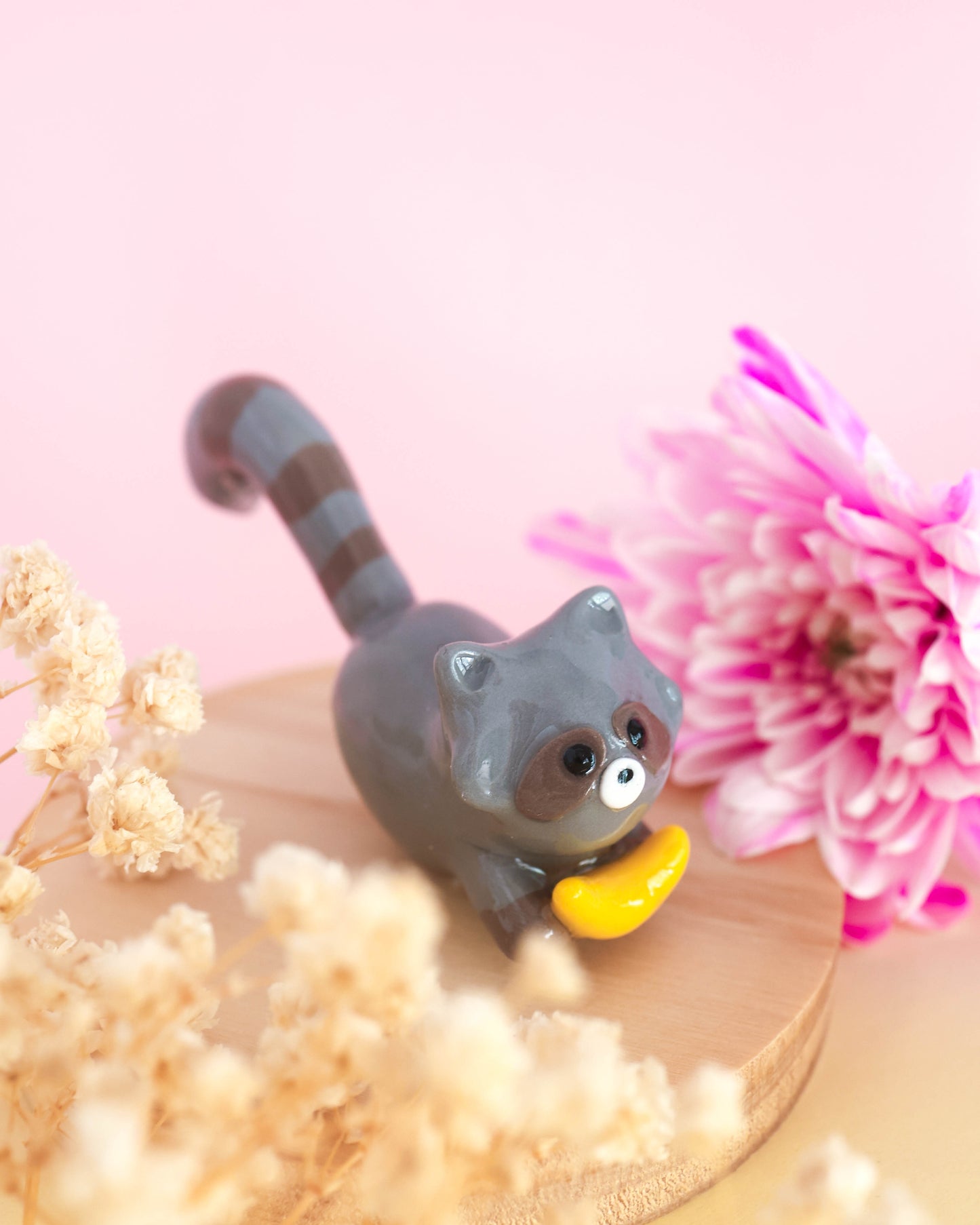 Raccoon Plant Friend