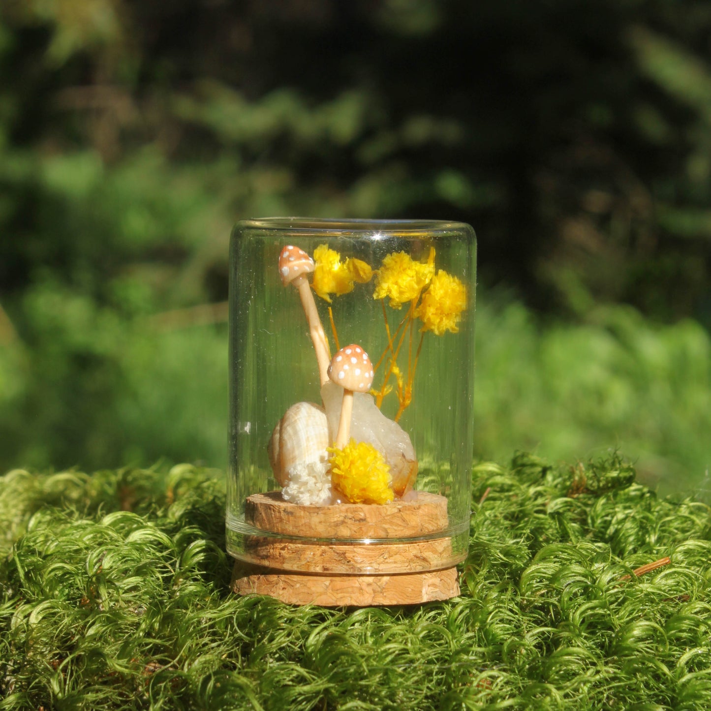 Miniature Crystal Terrariums