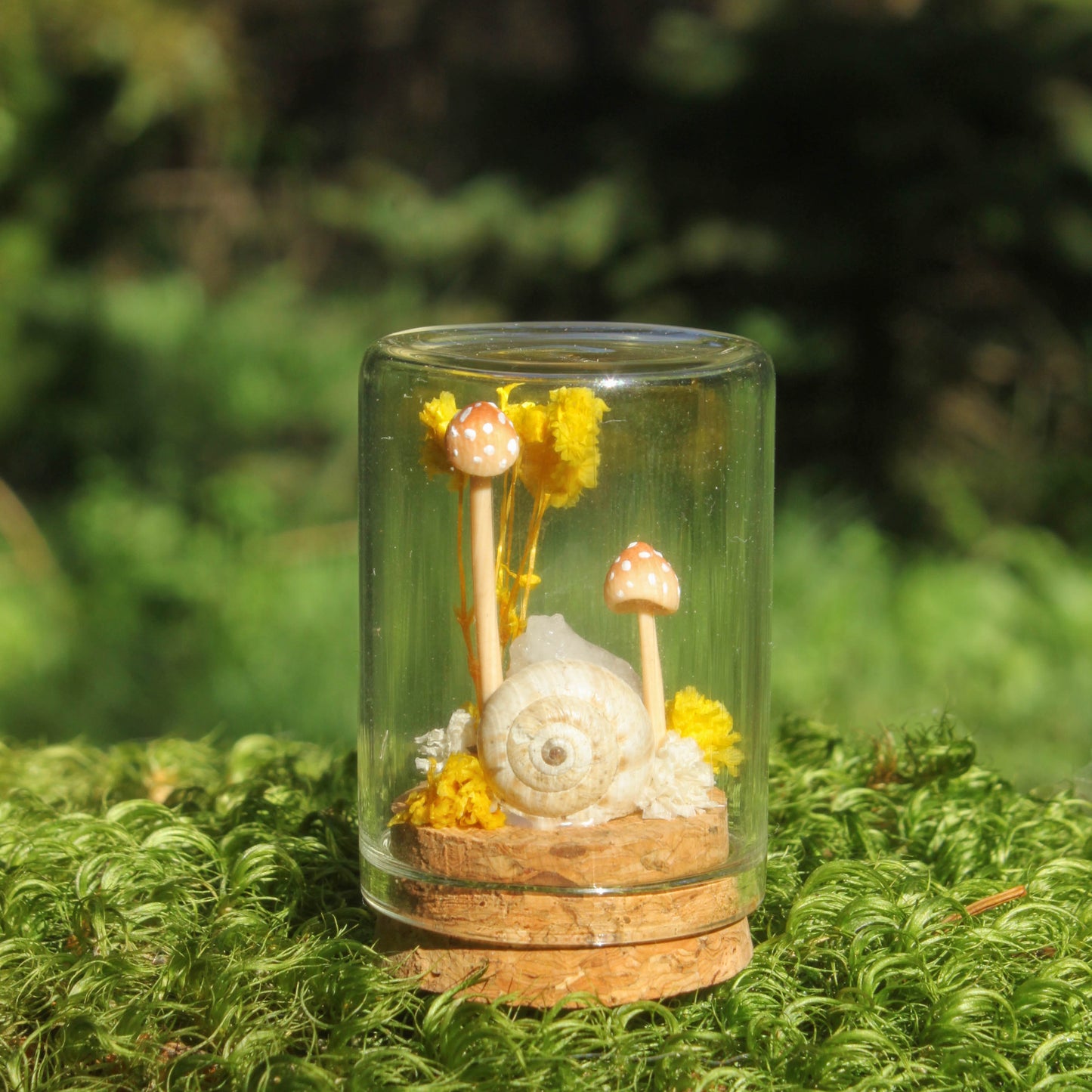 Miniature Crystal Terrariums