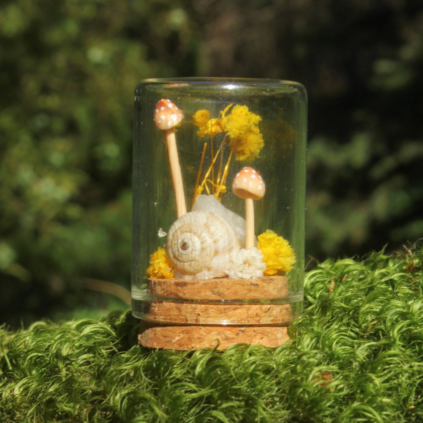 Miniature Crystal Terrariums