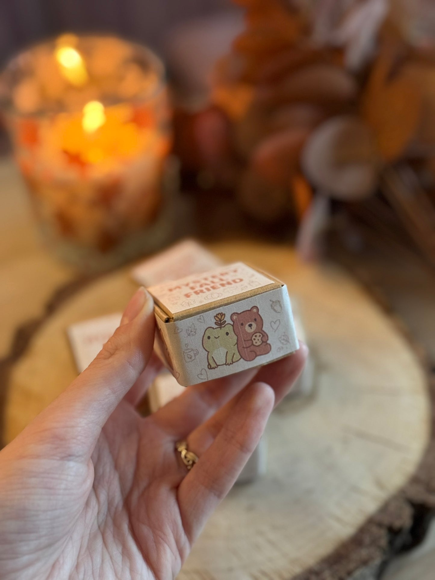 Mystery Forest Friends Box