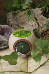 Hobbit House Plant Pot with Mushrooms