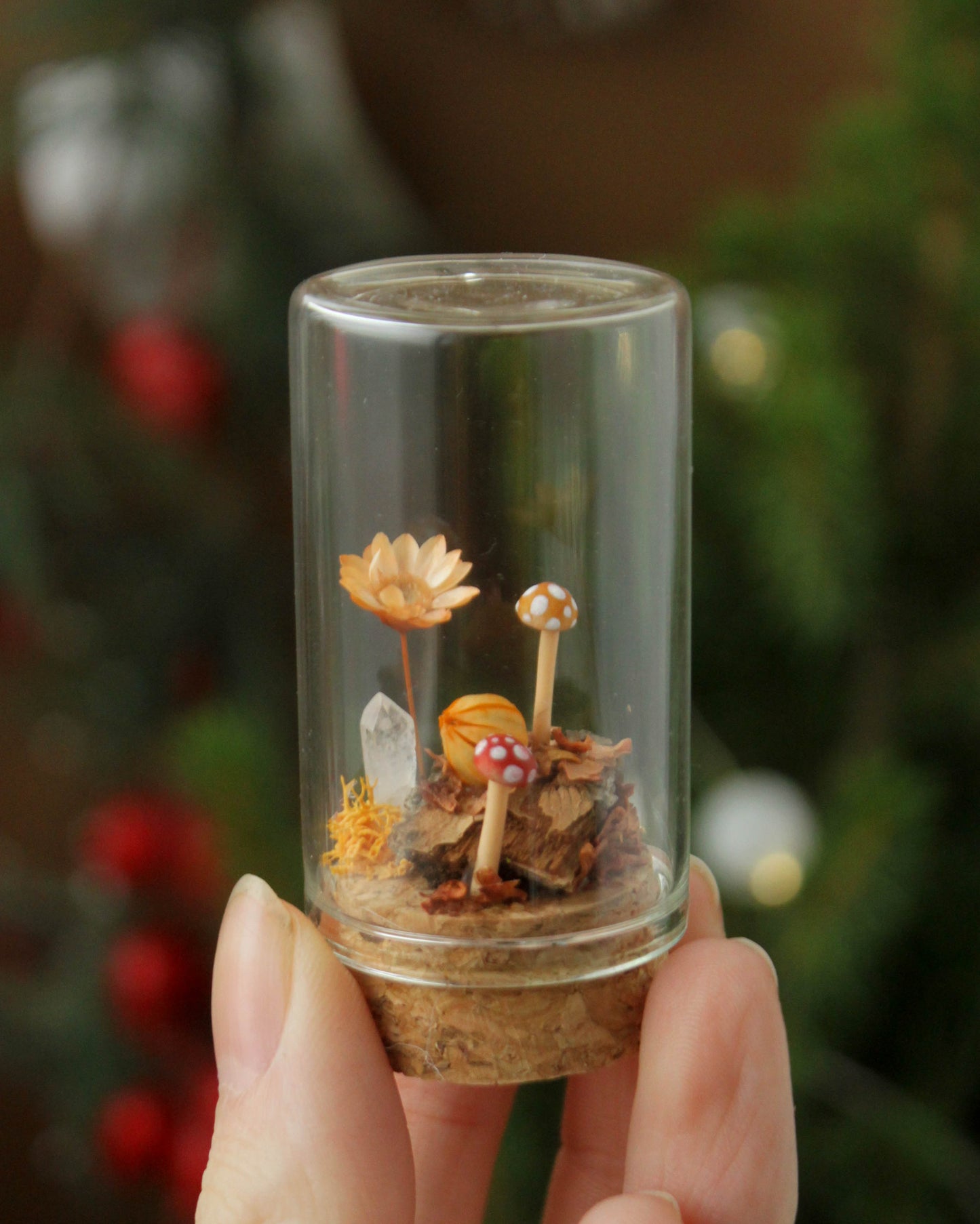 Miniature Crystal and Mushroom Terrariums