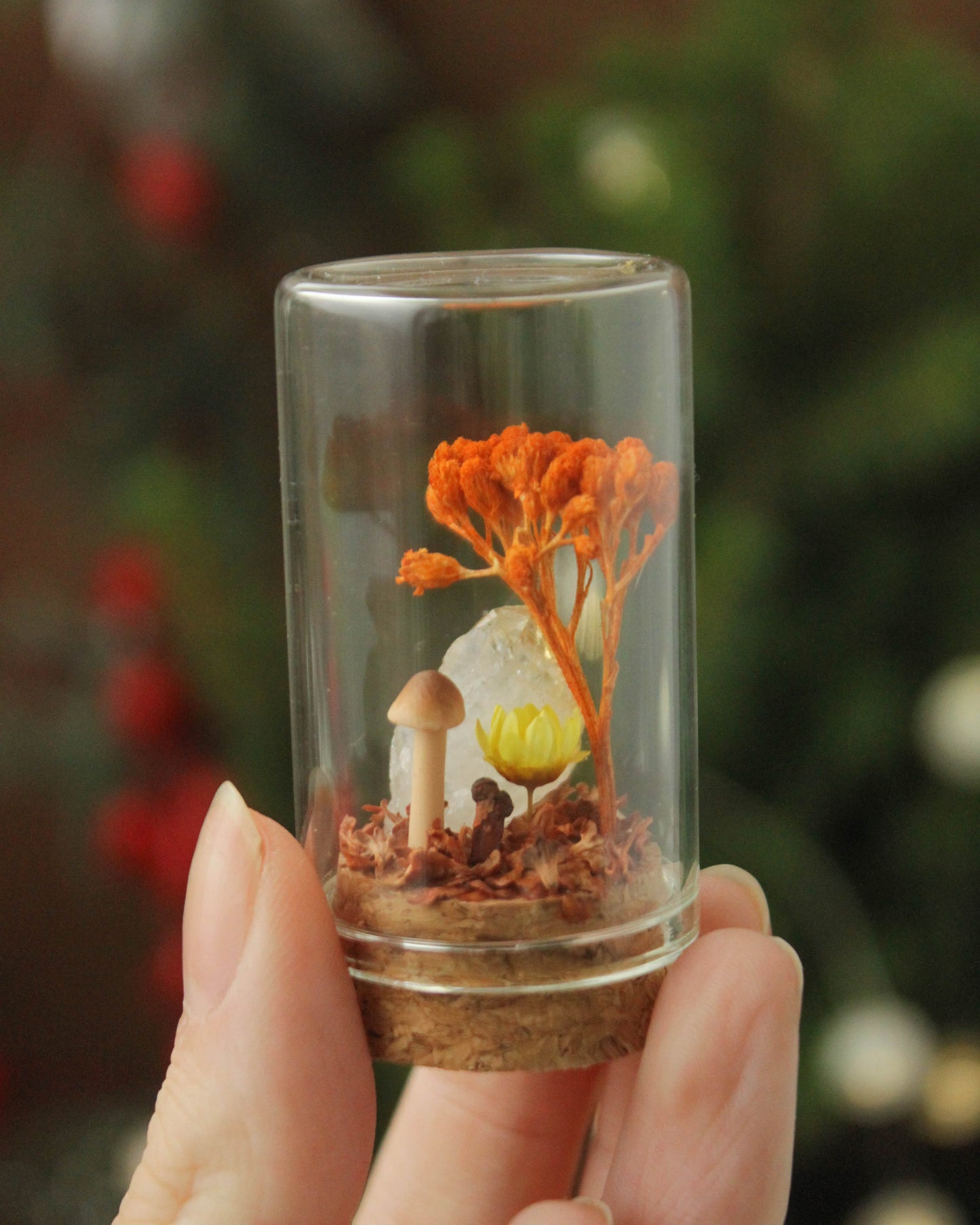 Miniature Crystal and Mushroom Terrariums