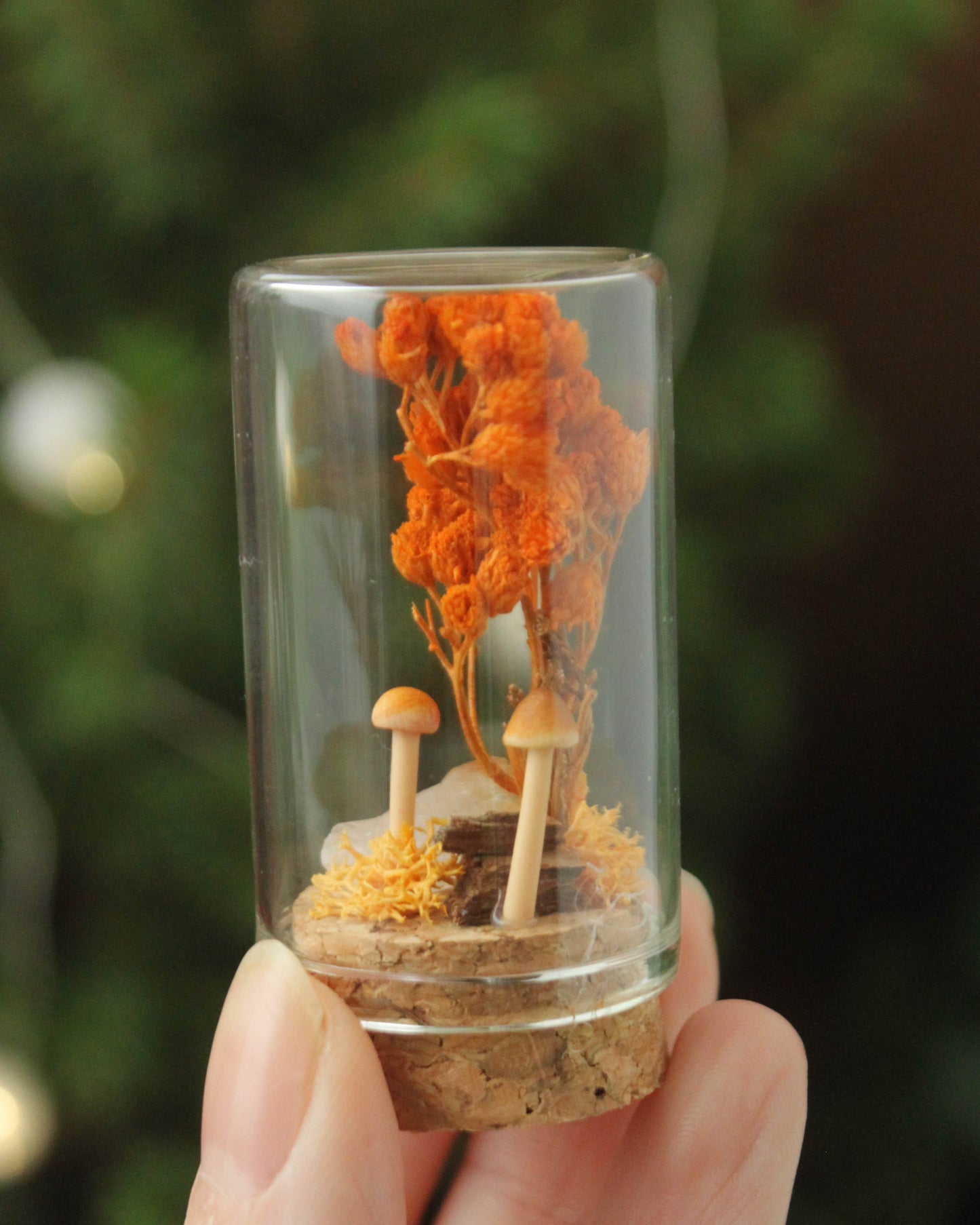 Miniature Crystal and Mushroom Terrariums