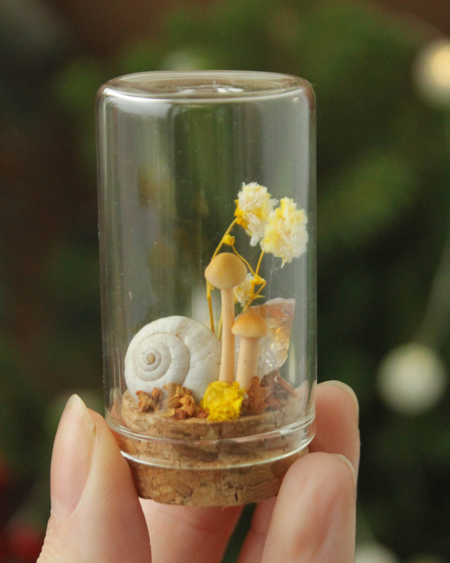 Miniature Crystal and Mushroom Terrariums