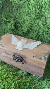 Wooden Owl Box with Miniature Forest Cabinet