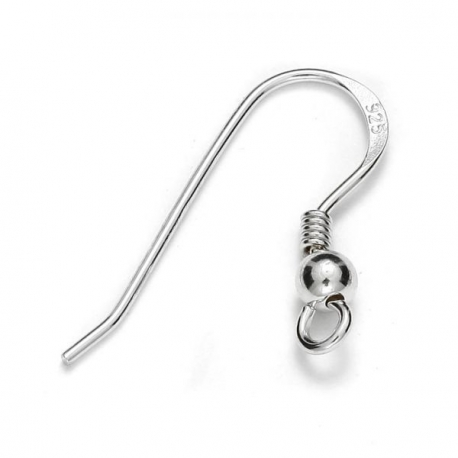 Silver Earring Hooks Upgrade